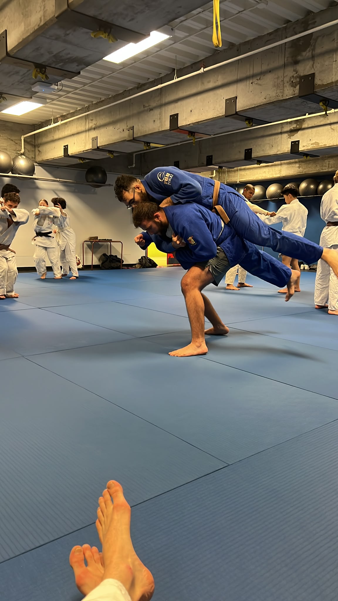 Entraînement réel du Club de Judo de l'Université de Montréal